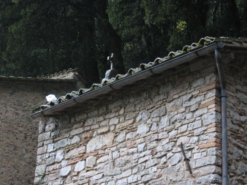 Assisi Monastery