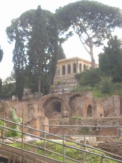 Forum