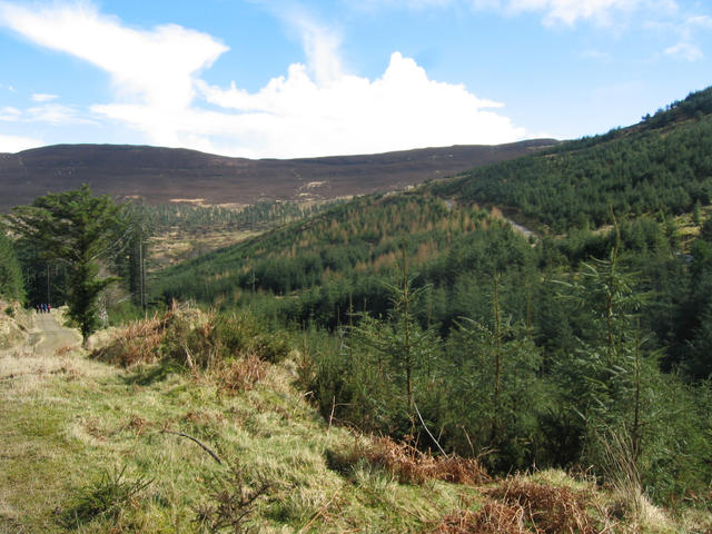 Glendalough Vista