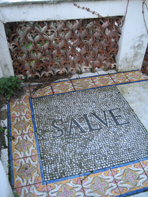 Salve Mosaic