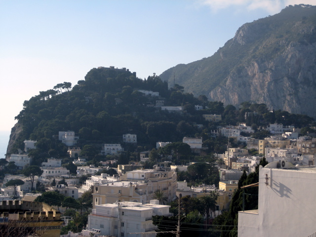 Capri vista