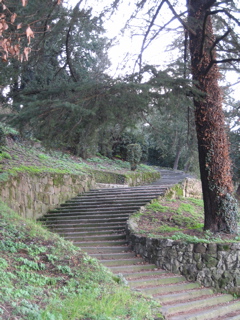 walking toward Piazzale Michelangelo