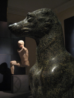 Dog, i Musei Capitolini