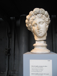 Head of Apollo crowned with laurel, Centrale Montemartini