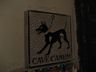 cave canem