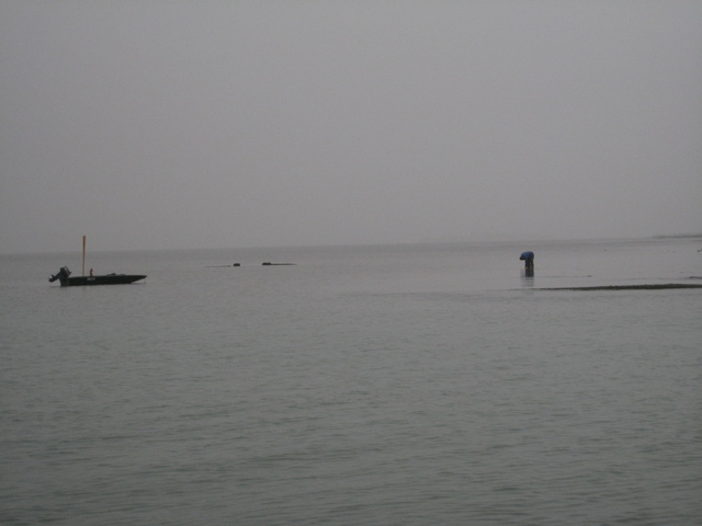 A Man standing in the Marsh