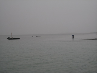 A Man standing in the Marsh