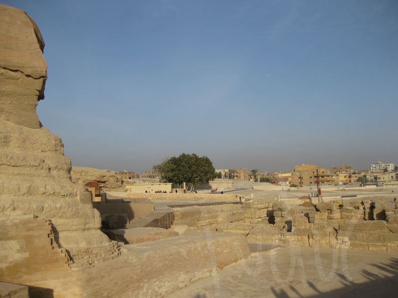 Sphinx at Giza, Egypt, January 2009 - 15