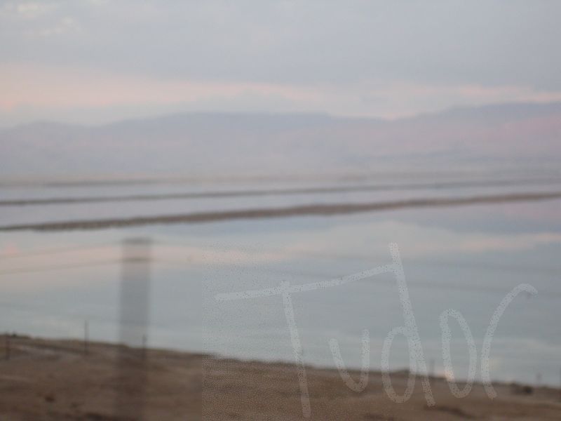 The Dead Sea, January 2008 - 12