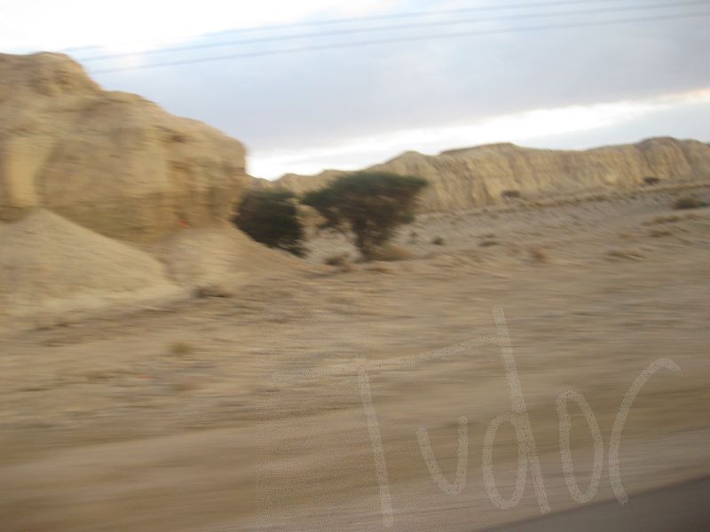 The Dead Sea, January 2008 - 05
