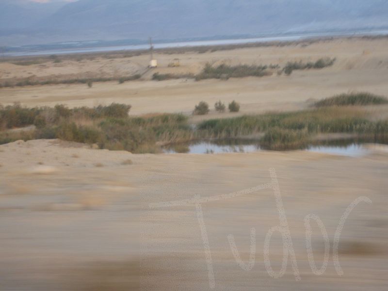The Dead Sea, January 2008 - 07