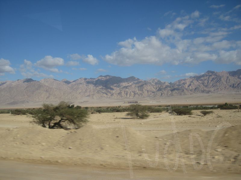 Southern Israel, January 2008 - 10