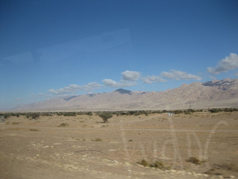 Southern Israel, January 2008 - 11