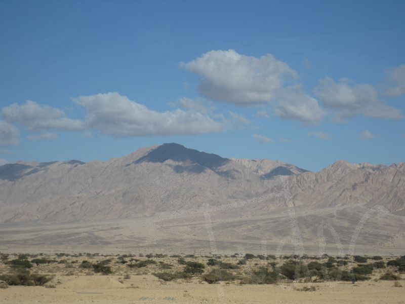 Southern Israel, January 2008 - 12