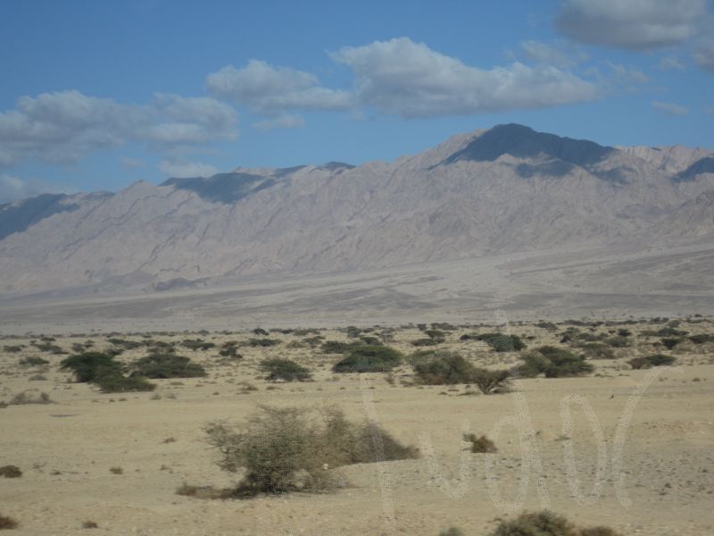 Southern Israel, January 2008 - 13