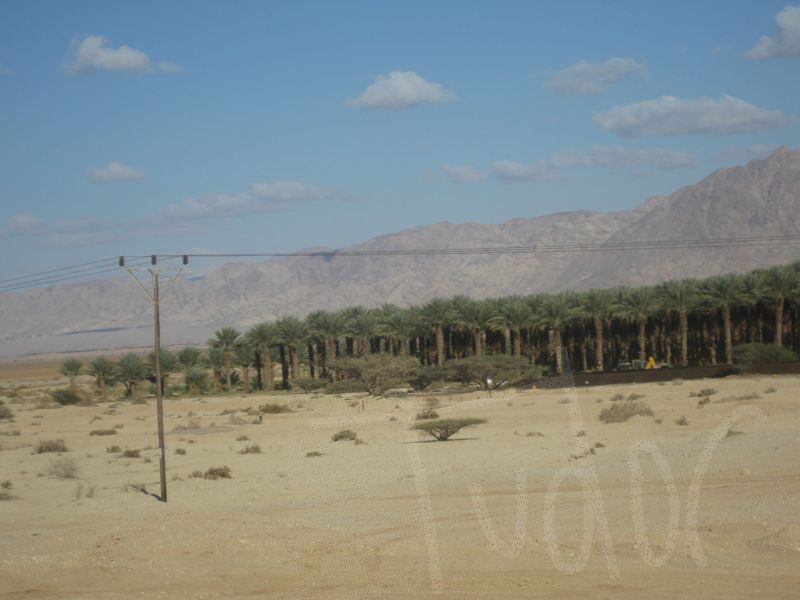 Southern Israel, January 2008 - 14