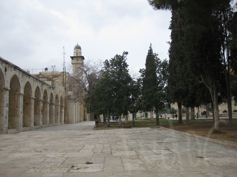 Jerusalem, January 2008 - 22