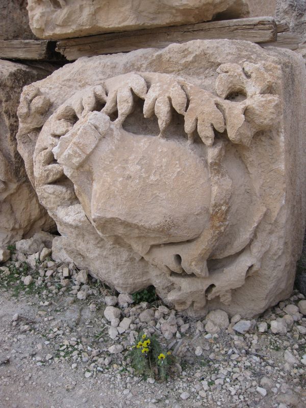 Jerash, Jordan - 149