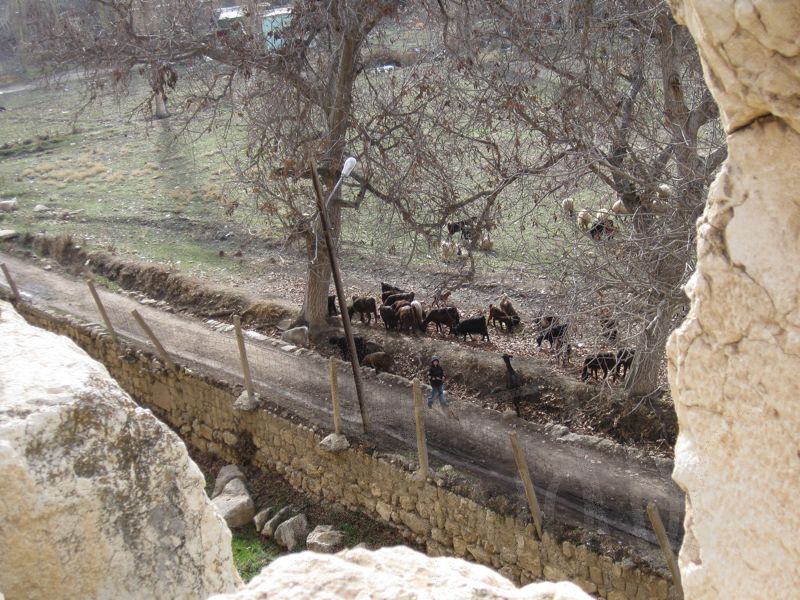 LB, Baalbek - 21