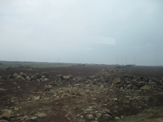 Image from 2009