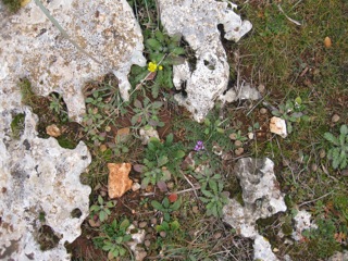 Image from 2009