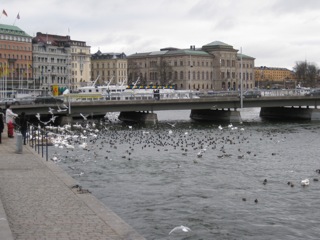 Image from 2009